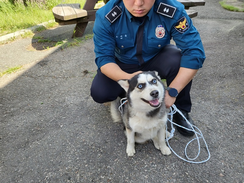 영덕유기동물보호센터_447518202300103